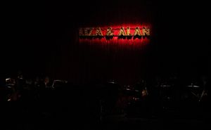 Liza Minnelli & Alan Cumming @ BroadwayWorld Liza Minnelli & Alan Cumming Photo