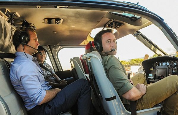 Scott Caan, Masi Oka, Taylor Wily, Alex O'Loughlin Photo