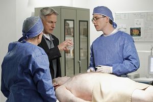 David McCallum, Mark Harmon, Brian Dietzen Photo