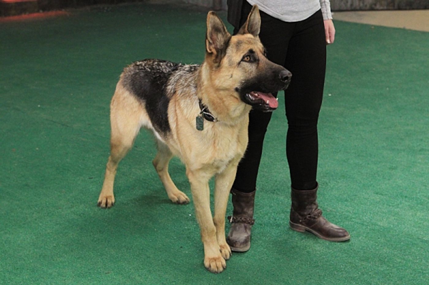 Photo Flash: First Look - CSI's 'Sheltered,' Airing 4/3 Photo Flash: First Look - CSI's 'Sheltered,' Airing 4/3 Image