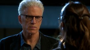 Ted Danson Photo