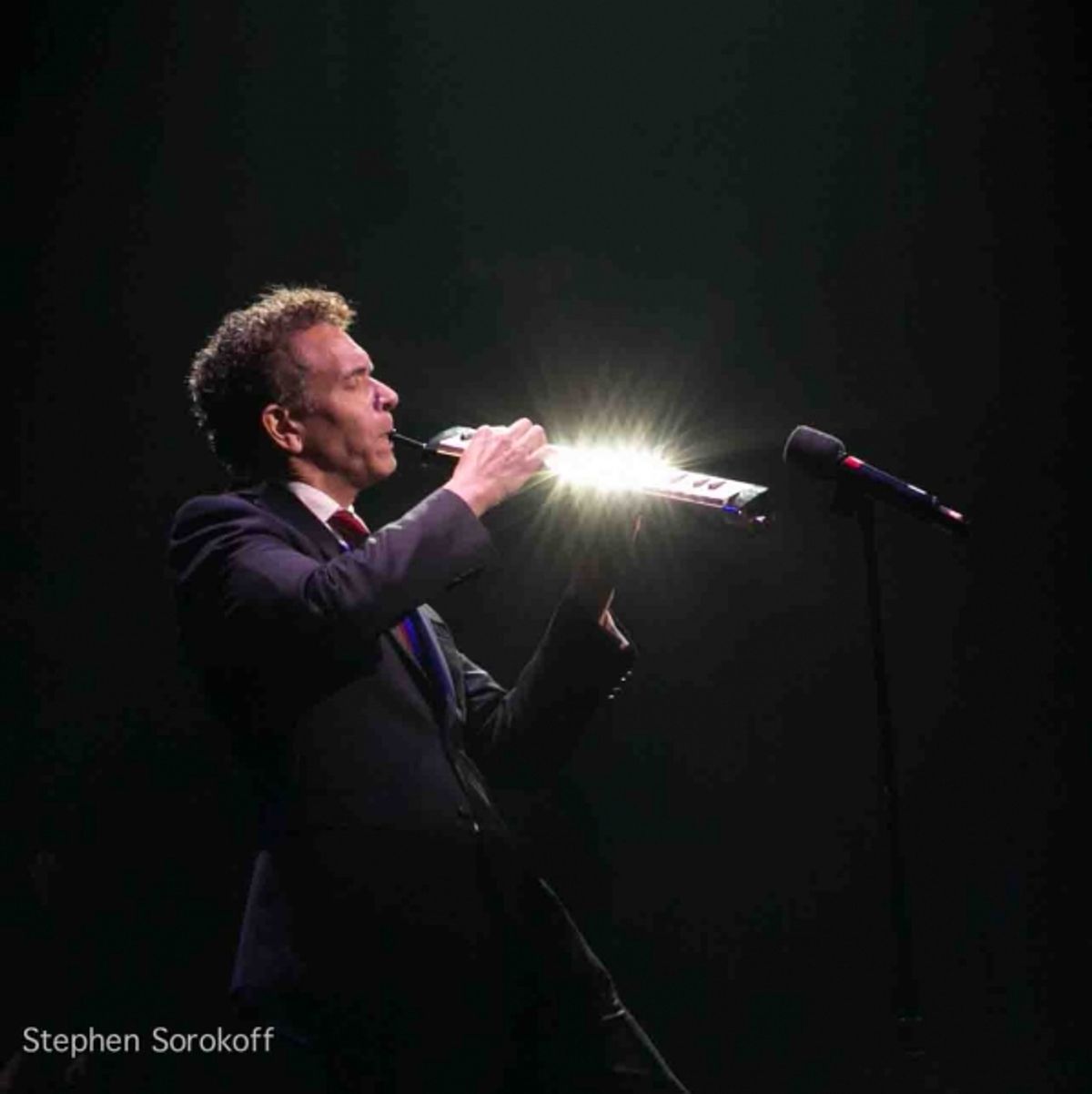 Brian Stokes Mitchell at 
