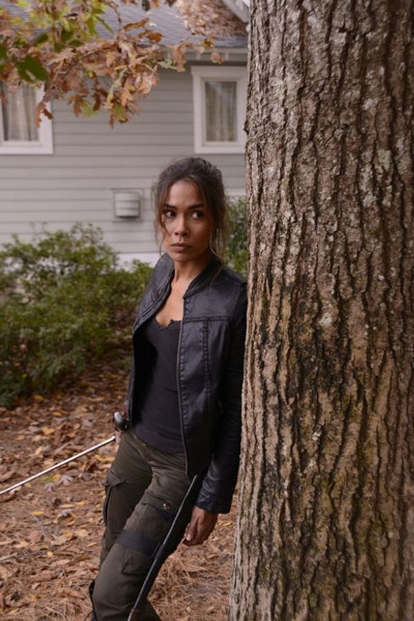 Daniella Alonso Photo