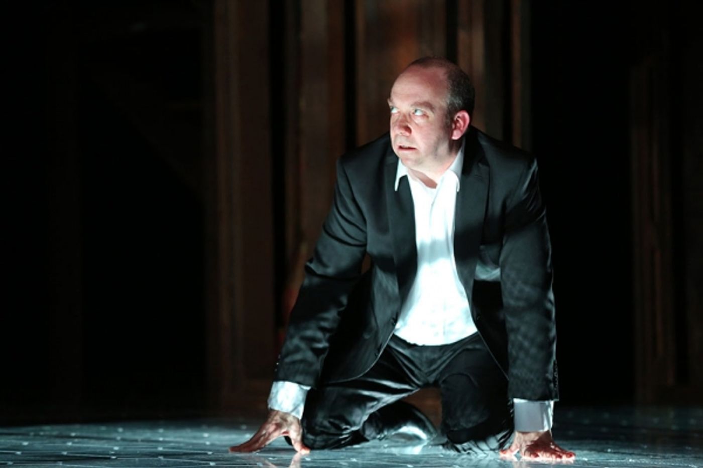 Photo Flash: First Look at Paul Giamatti and More in Yale Rep's HAMLET  Image