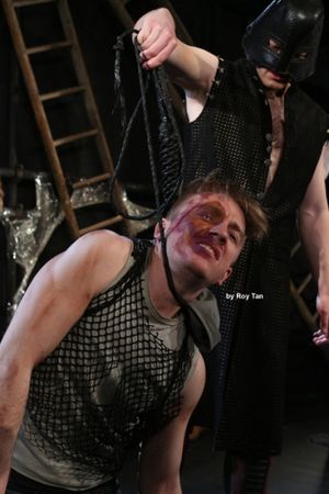 Steven Webb @ BroadwayWorld Steven Webb Photo