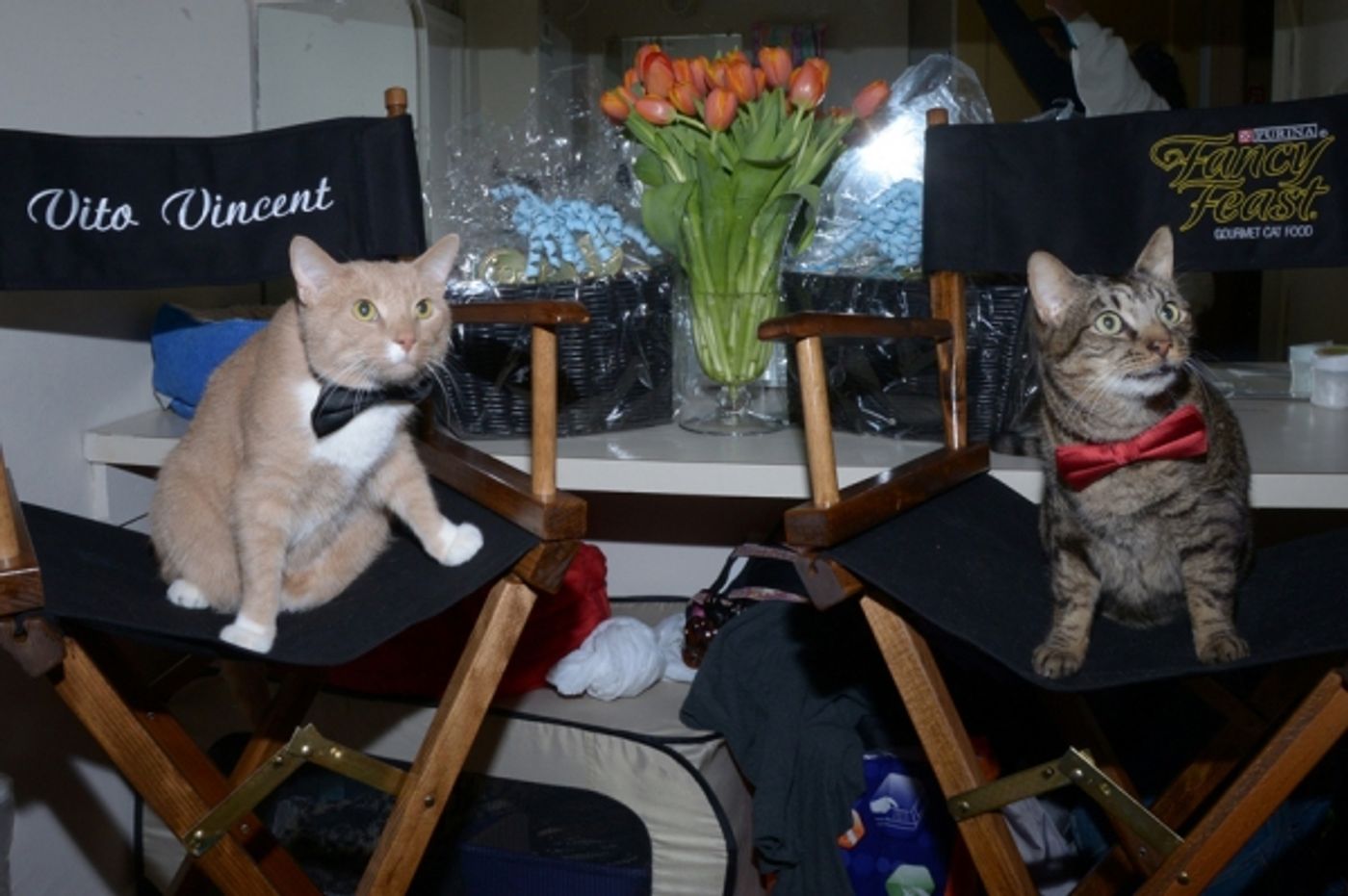 Photo Flash: Backstage with the BREAKFAST AT TIFFANY'S Kitties!  Image