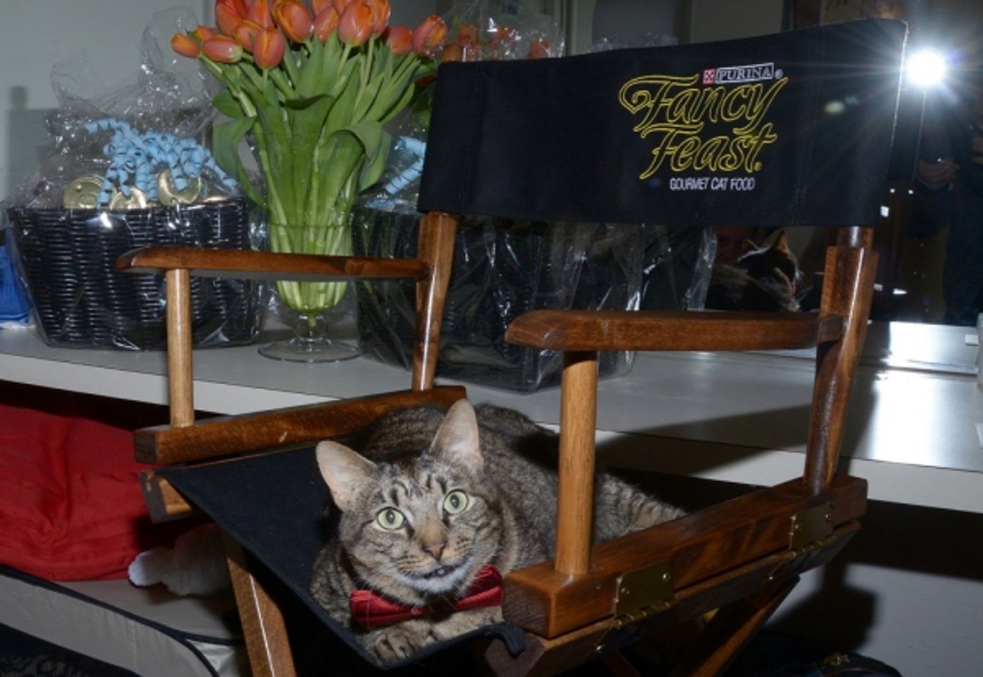 Photo Flash: Backstage with the BREAKFAST AT TIFFANY'S Kitties!  Image