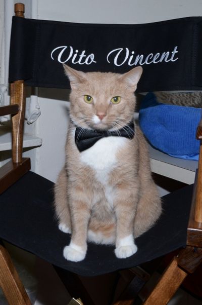 Vito Vincent  Photo