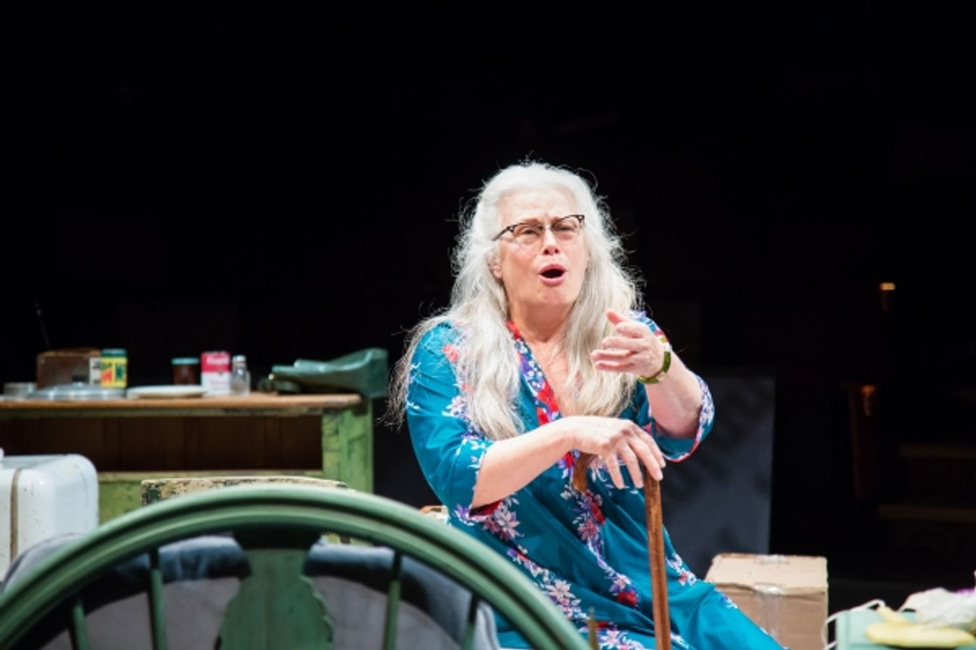 Photo Flash: First Look at Patti Cohenour, Allen Fitzpatrick and More in ACT/5th Avenue's GREY GARDENS  Image