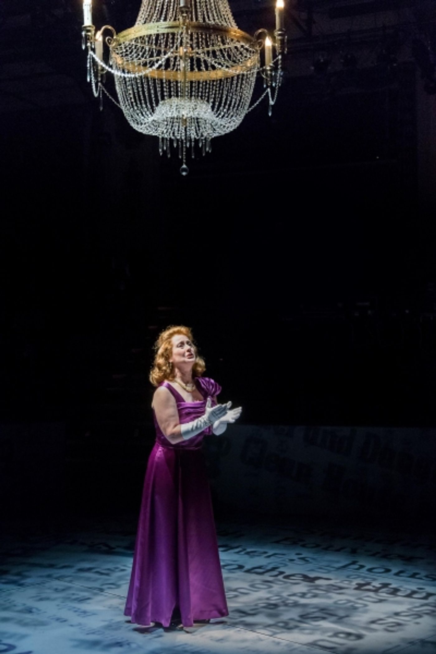 Photo Flash: First Look at Patti Cohenour, Allen Fitzpatrick and More in ACT/5th Avenue's GREY GARDENS  Image