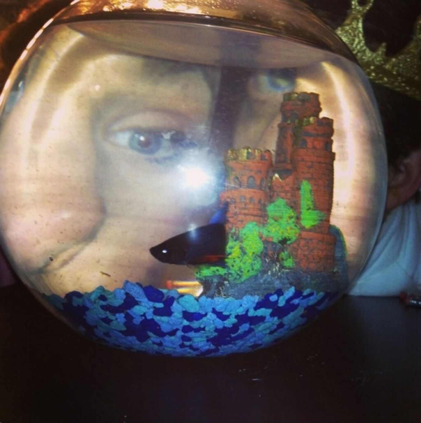 Photo Flash: Saturday Intermission Pics, March 23, Part 2 - PIPPIN's First SIP, PASSION, F#%KING UP EVERYTHING and More! Photo Flash: Saturday Intermission Pics, March 23, Part 2 - PIPPIN's First SIP, PASSION, F#%KING UP EVERYTHING and More! Image