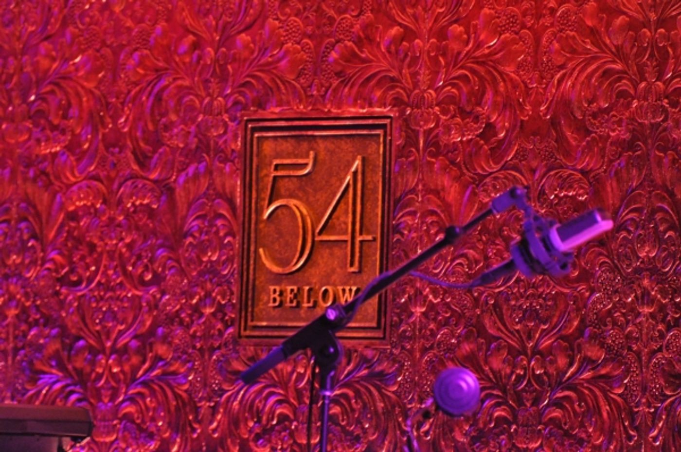 Photo Coverage: Hunter Ryan Herdlicka Plays 54 Below!  Image