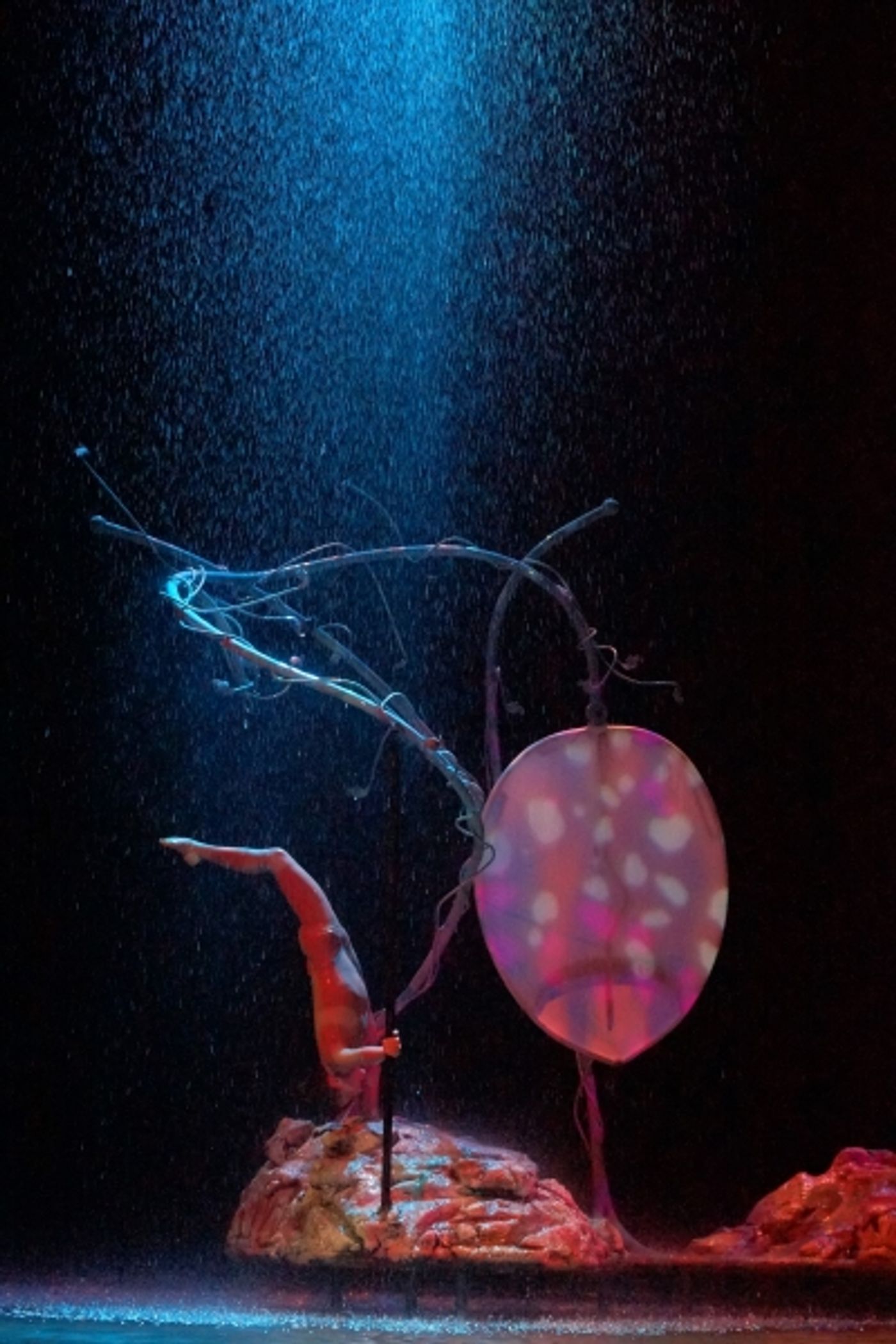 Photo Flash: Cirque du Soleil's ONE NIGHT FOR ONE DROP World Water Day Performance  Image