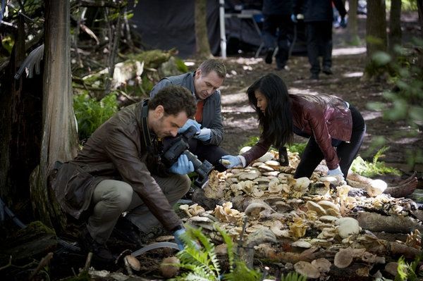 Photo Flash: First Look - HANNIBAL's 'Amuse Bouche,' Airing 4/11  Image