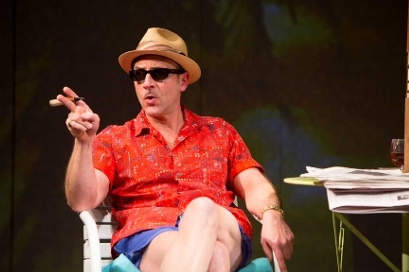 Photo Flash: First Look at Douglas Sills, John Cunningham and More in RIDE THE TIGER  Image