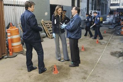 Nathan Fillion, Stana Katic, Arye Gross Photo