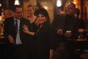 Liza Minnelli @ BroadwayWorld Liza Minnelli Photo