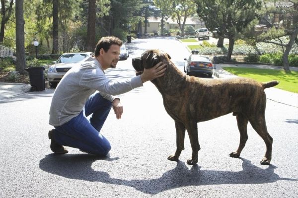 Photo Flash: First Look - SUBURGATORY's Season Finale, 4/17 — photo 5 of 9