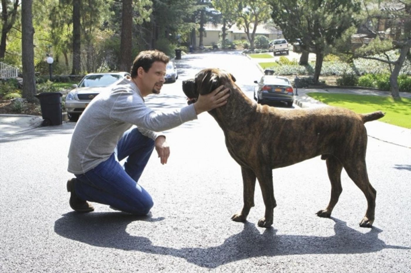 Photo Flash: First Look - SUBURGATORY's Season Finale, 4/17  Image