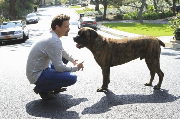 Photo Flash: First Look - SUBURGATORY's Season Finale, 4/17 — photo 4 of 9