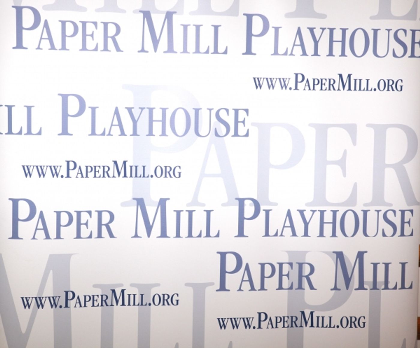 Photo Coverage: Paper Mill Playhouse's THOROUGHLY MODERN MILLIE Cast Meets the Press!  Image