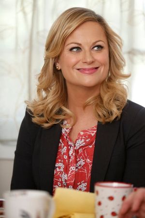 Amy Poehler Photo