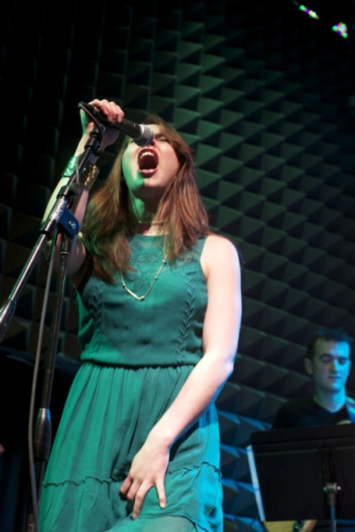 Photo Flash: Katrina Rose Dideriksen, Ashkon Davaran and More in JUNK: A ROCK OPERA Concert at Joe's Pub Image