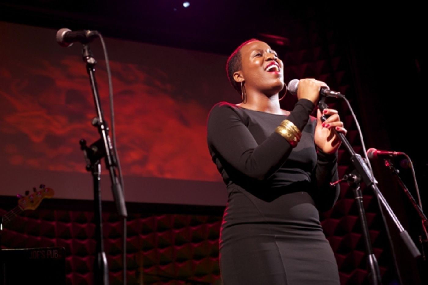 Photo Flash: Katrina Rose Dideriksen, Ashkon Davaran and More in JUNK: A ROCK OPERA Concert at Joe's Pub Image