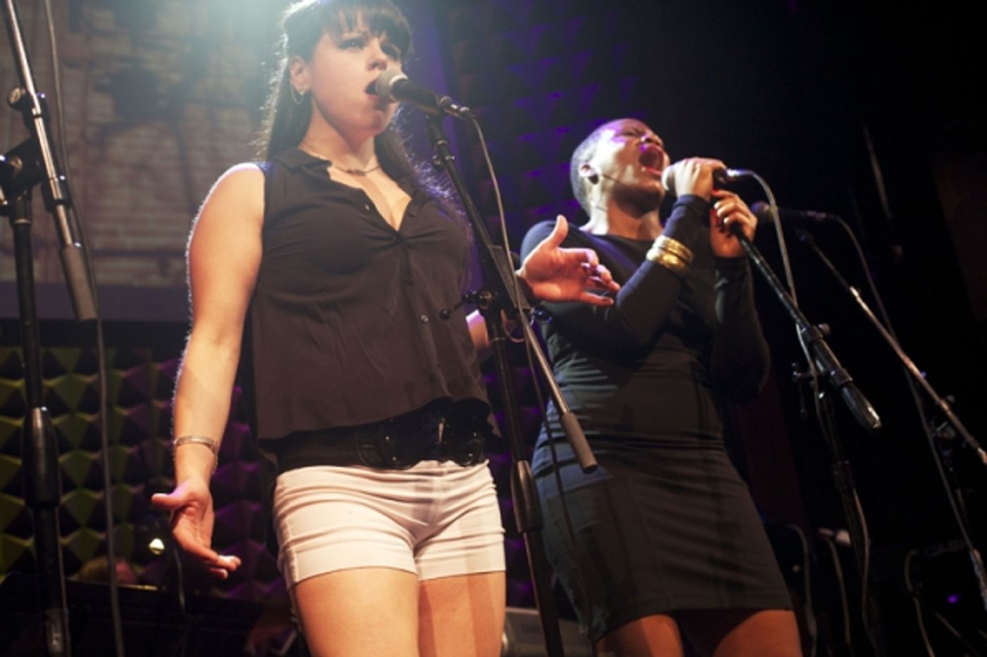 Photo Flash: Katrina Rose Dideriksen, Ashkon Davaran and More in JUNK: A ROCK OPERA Concert at Joe's Pub Image