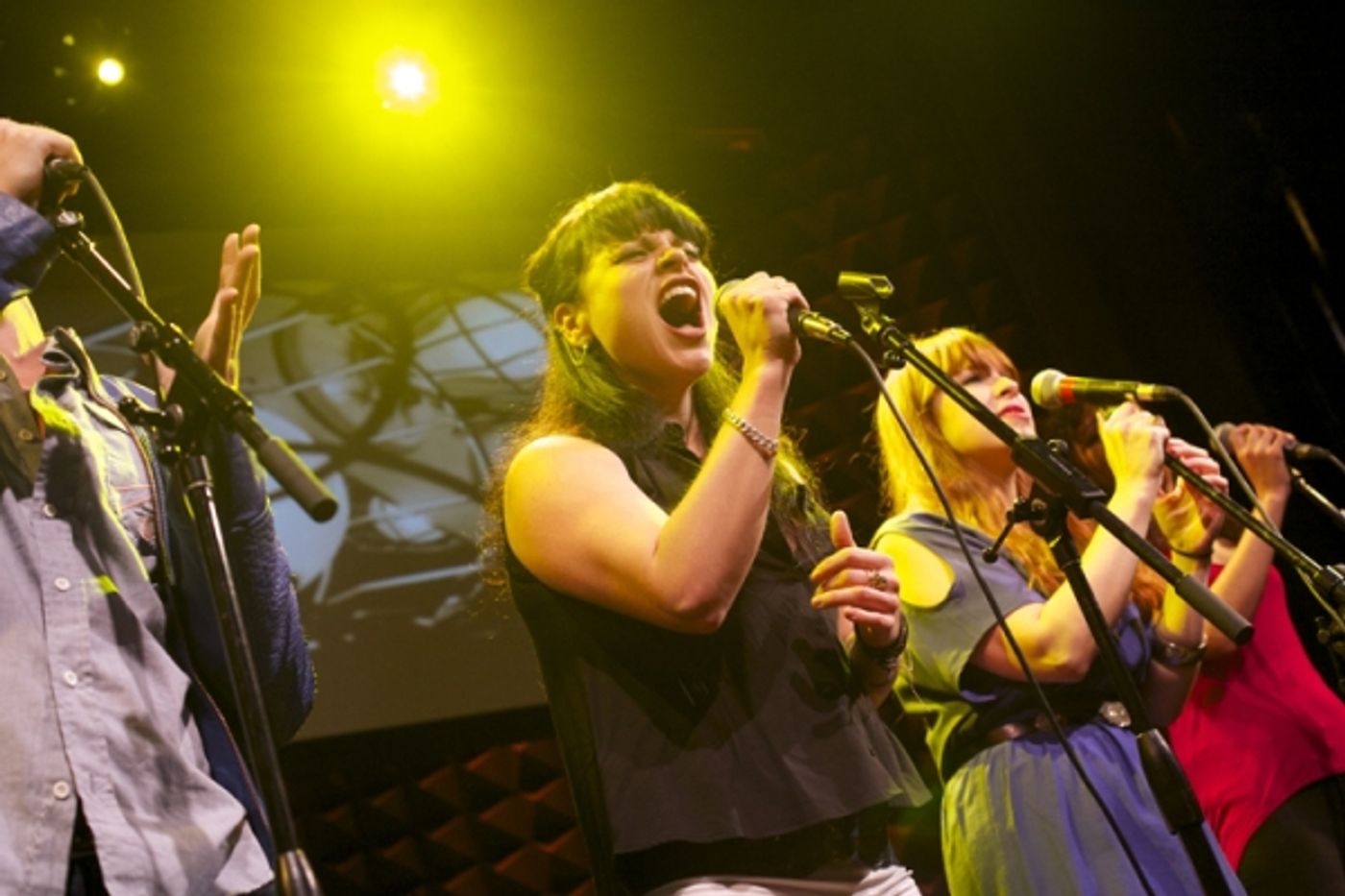 Photo Flash: Katrina Rose Dideriksen, Ashkon Davaran and More in JUNK: A ROCK OPERA Concert at Joe's Pub Image