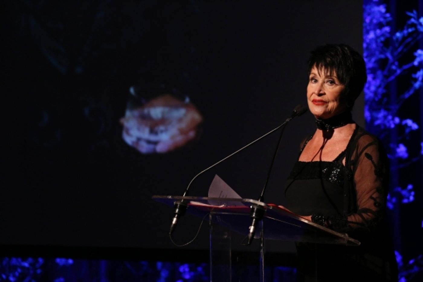Photo Coverage: Chita Rivera and More Tribute Marty Richards  Image
