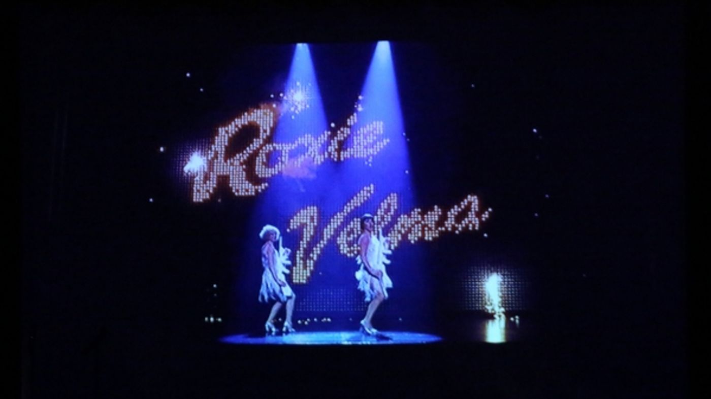 Photo Coverage: Chita Rivera and More Tribute Marty Richards  Image