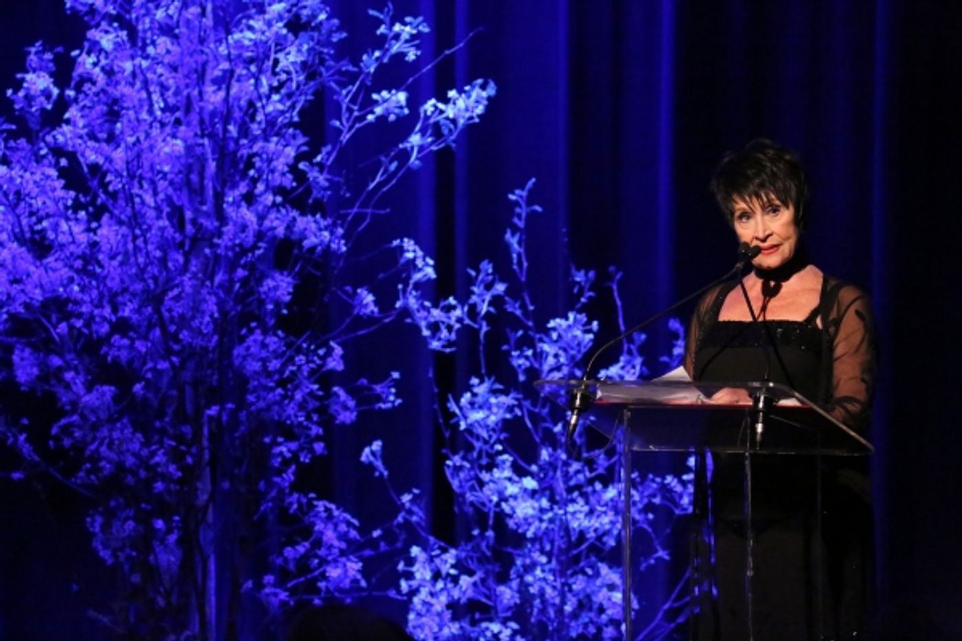 Photo Coverage: Chita Rivera and More Tribute Marty Richards  Image