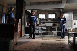 Allan Louis, Nathan Fillion, Stana Katic Photo