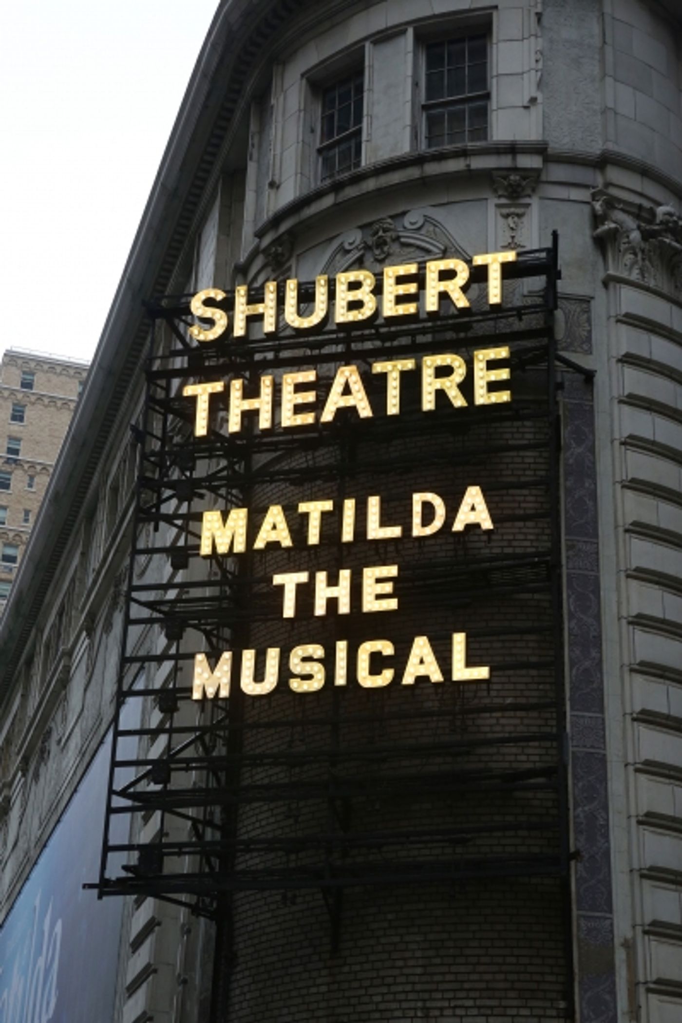 Photo Coverage: MATILDA's Starry Red Carpet Arrivals at Opening Night! Photo Coverage: MATILDA's Starry Red Carpet Arrivals at Opening Night! Image