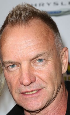 Sting Photo