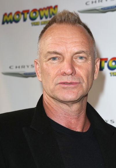 Sting Photo
