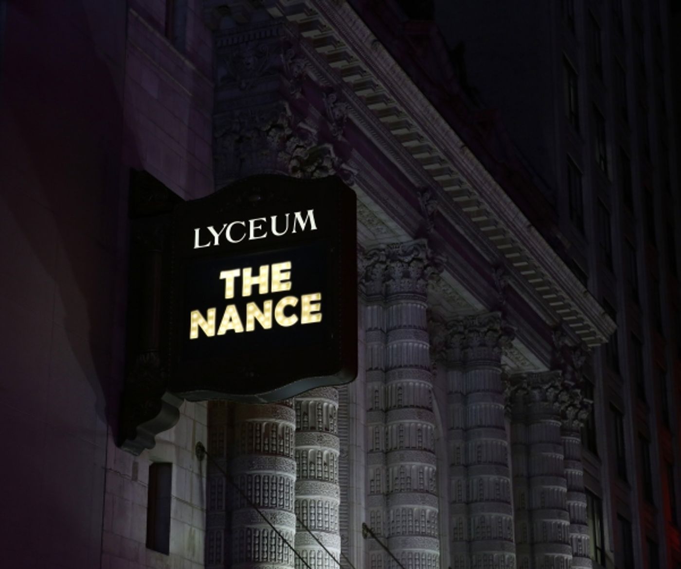 Photo Coverage: Red Carpet Arrivals for the Opening Night of THE NANCE on Broadway Image