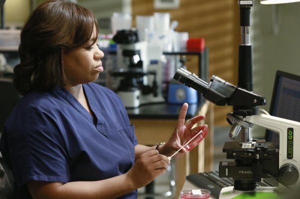 Chandra Wilson Photo