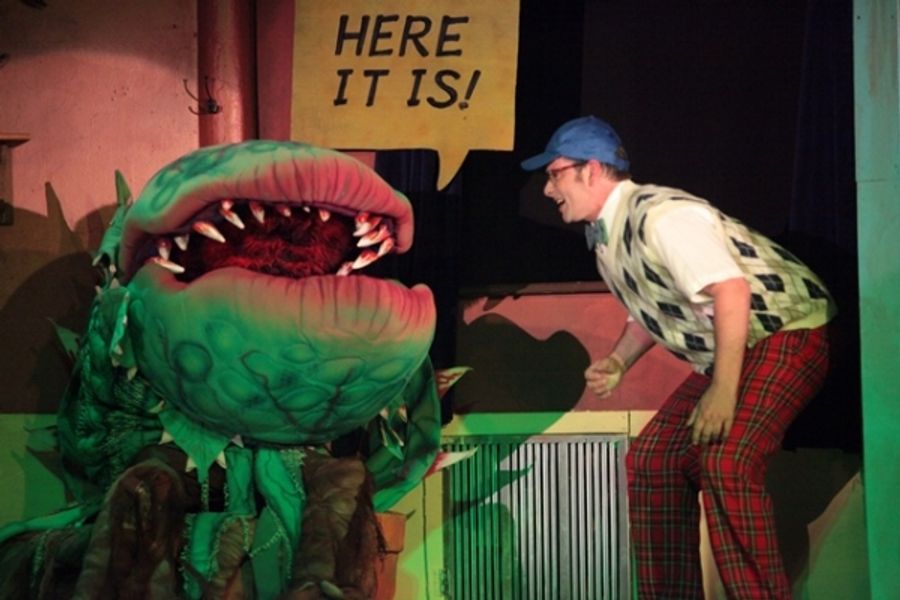 Photo Flash: First Look at Kelrik Productions' LITTLE SHOP OF HORRORS Image