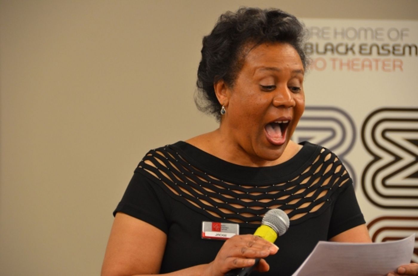 Photo Flash: Black Ensemble Theater's FROM DOO WOP TO HIP HOP VIP Reception  Image