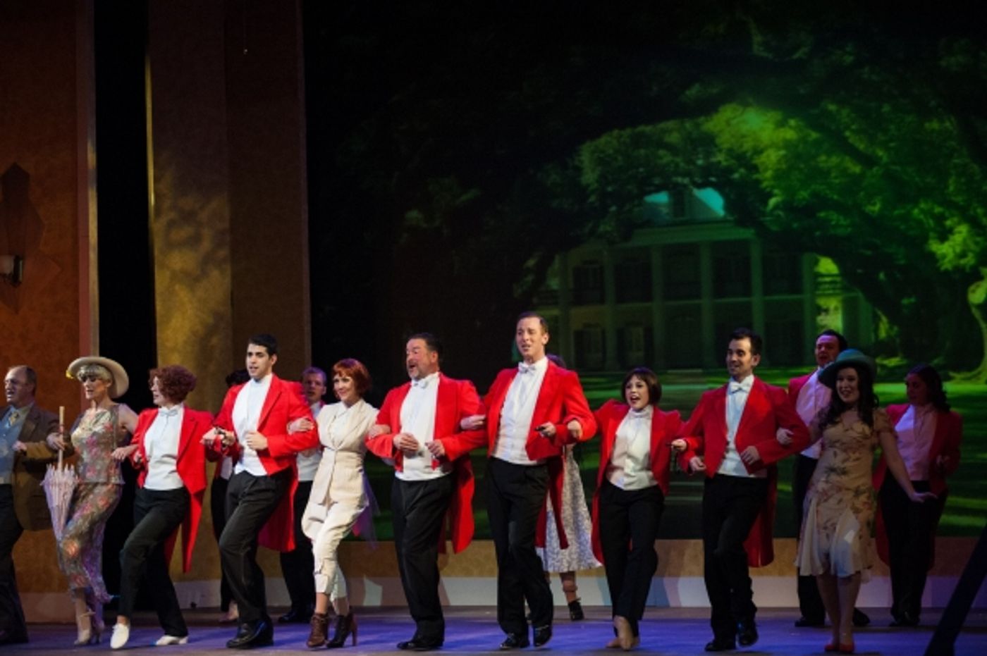 Photo Flash: First Look at Andrea McArdle and More in Media Theatre's MAME Image
