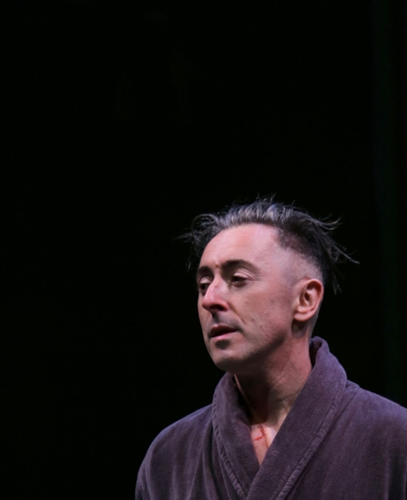 Photo Coverage: Opening Night Curtain Call for MACBETH Starring Alan Cumming! Image