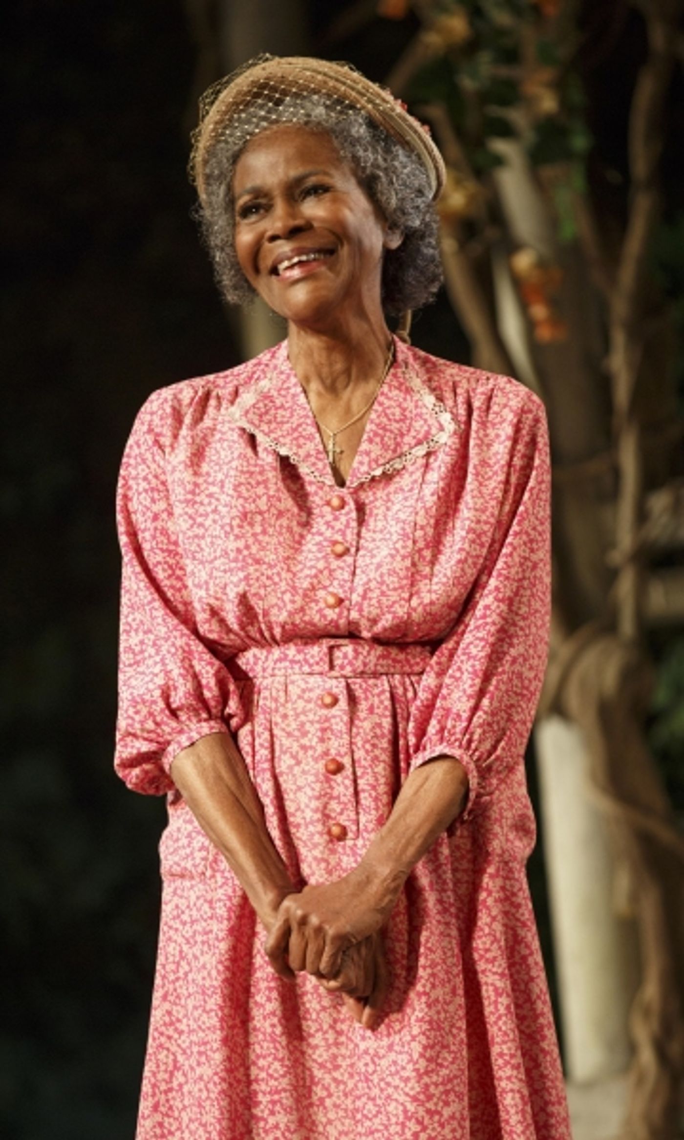 Photo Flash: First Look at Cicely Tyson, Vanessa Williams, Cuba Gooding Jr. & More in THE TRIP TO BOUNTIFUL  Image