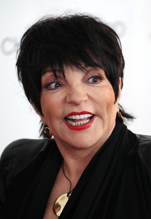 Liza Minnelli @ BroadwayWorld Liza Minnelli Photo