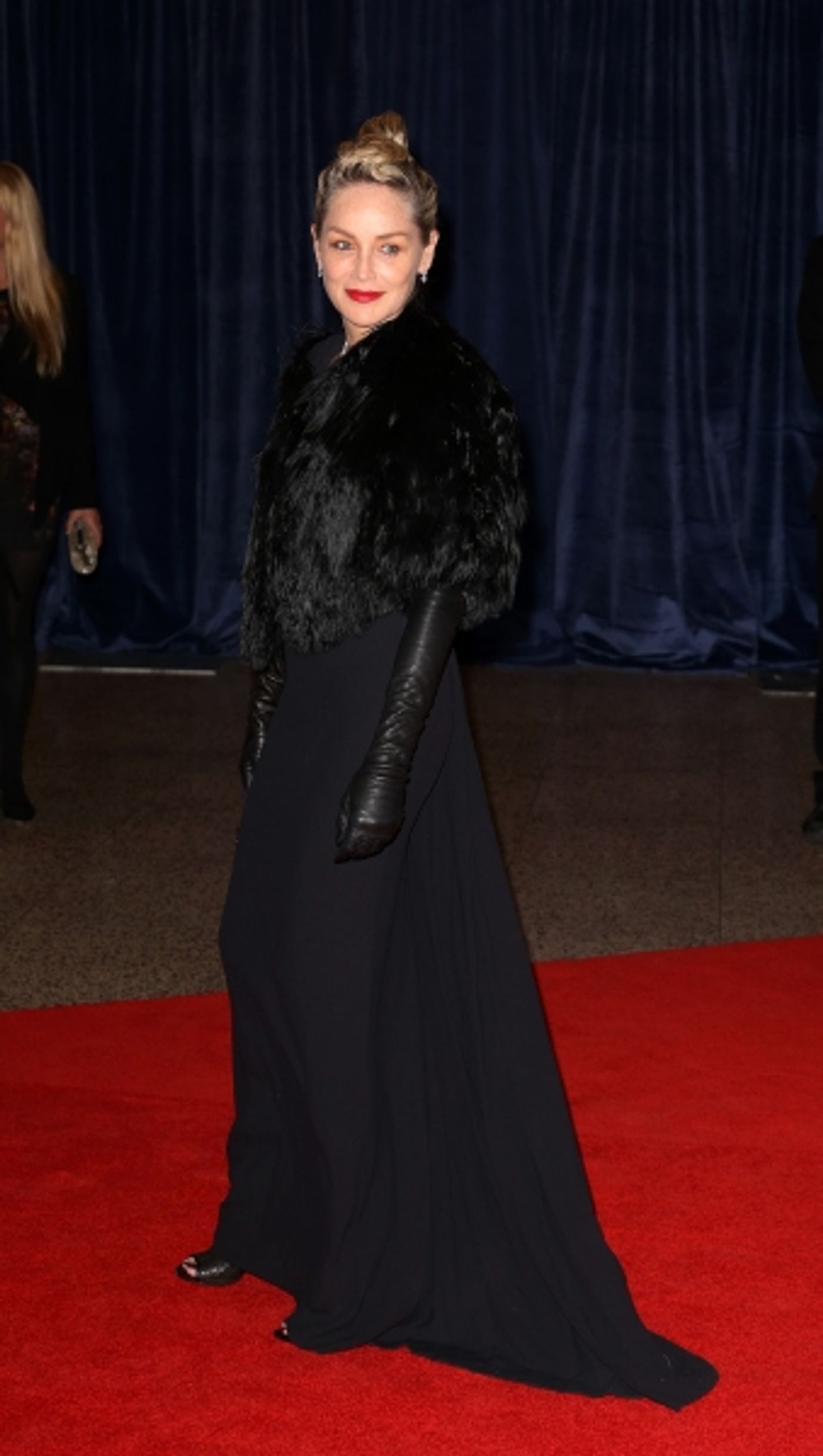 Photo Coverage: On the Red Carpet at the White House Correspondents' Association Dinner  Image