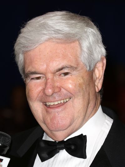 Newton Leroy "Newt" Gingrich Photo