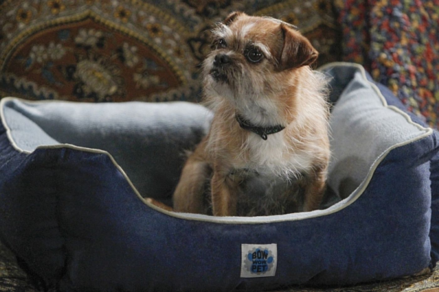 Photo Flash: First Look - MIKE & MOLLY's Third Season Finale, Airing 5/20  Image