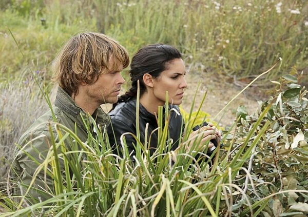 Eric Christian Olsen, Daniela Ruah Photo