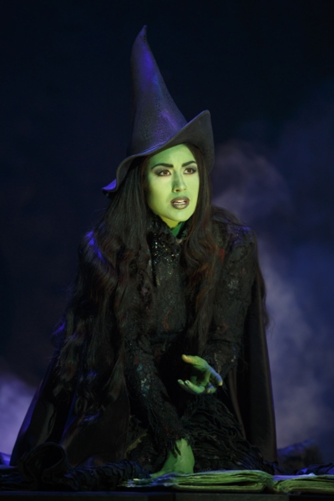 Photo Flash: First Look at Alison Luff and John Davidson in WICKED National Tour  Image